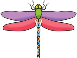 drawings creepy crawlies.indd