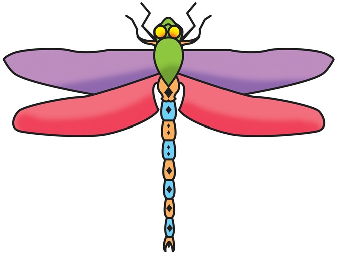 drawings creepy crawlies.indd